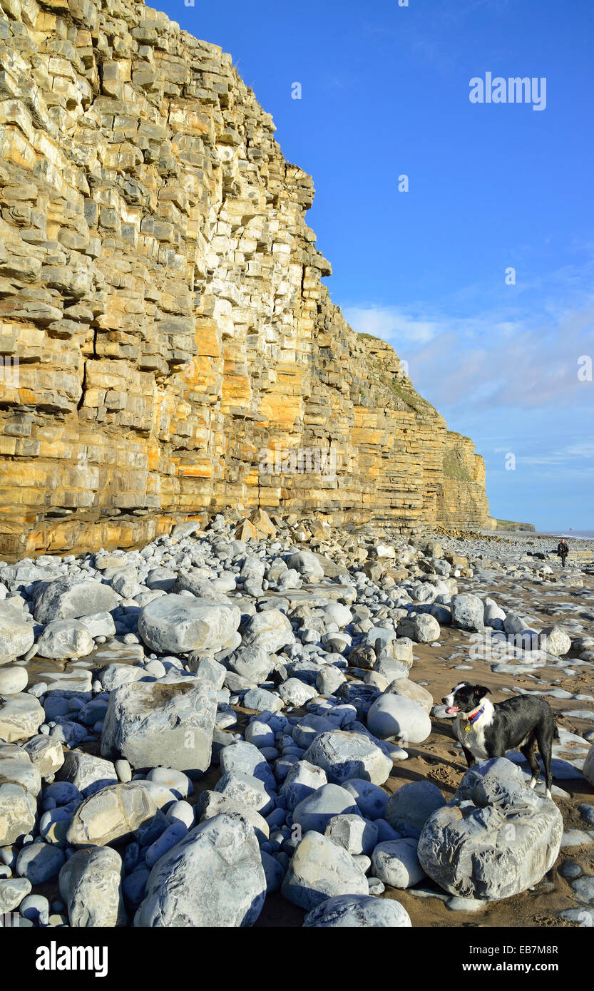 Falaises et vue sur Col-huw Beach, Lantwit, Patrimoine majeur Côte, Vale of Glamorgan, Pays de Galles, Royaume-Uni Banque D'Images