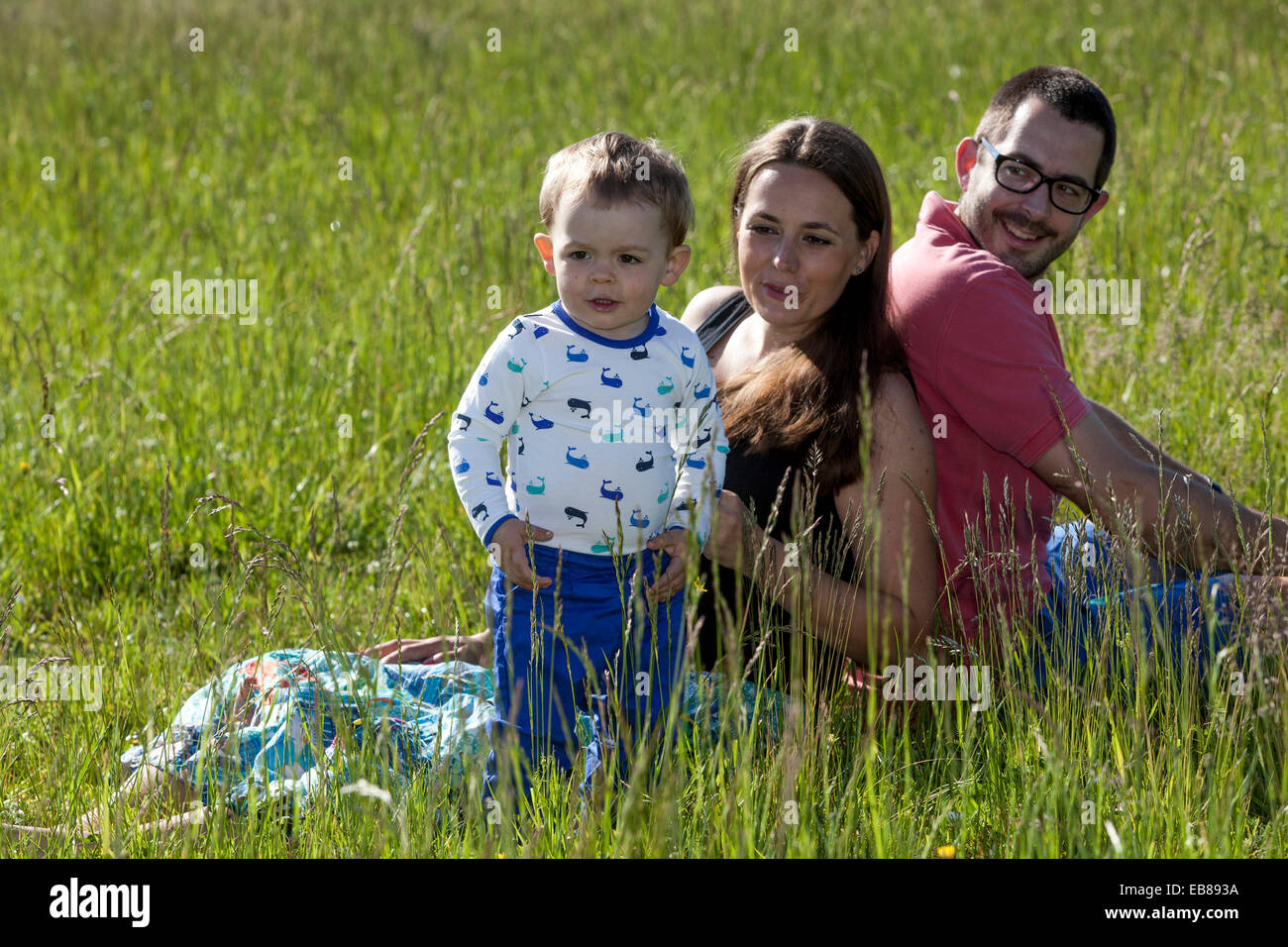 Une famille heureuse, une femme enceinte avec son mari et petit garçon passer du temps ensemble et de jouer à des jeux dans une prairie d'été Banque D'Images