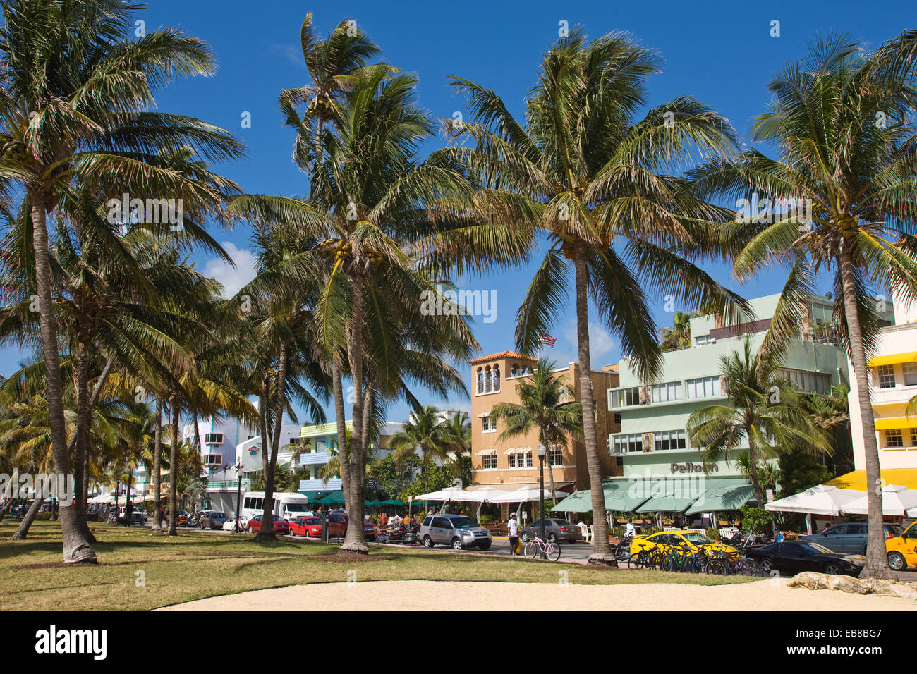 Palmiers OCEAN DRIVE SOUTH BEACH MIAMI BEACH FLORIDE USA Banque D'Images Palmiers OCEAN DRIVE SOUTH BEACH MIAMI BEACH FLORIDE USA Banque D'Images