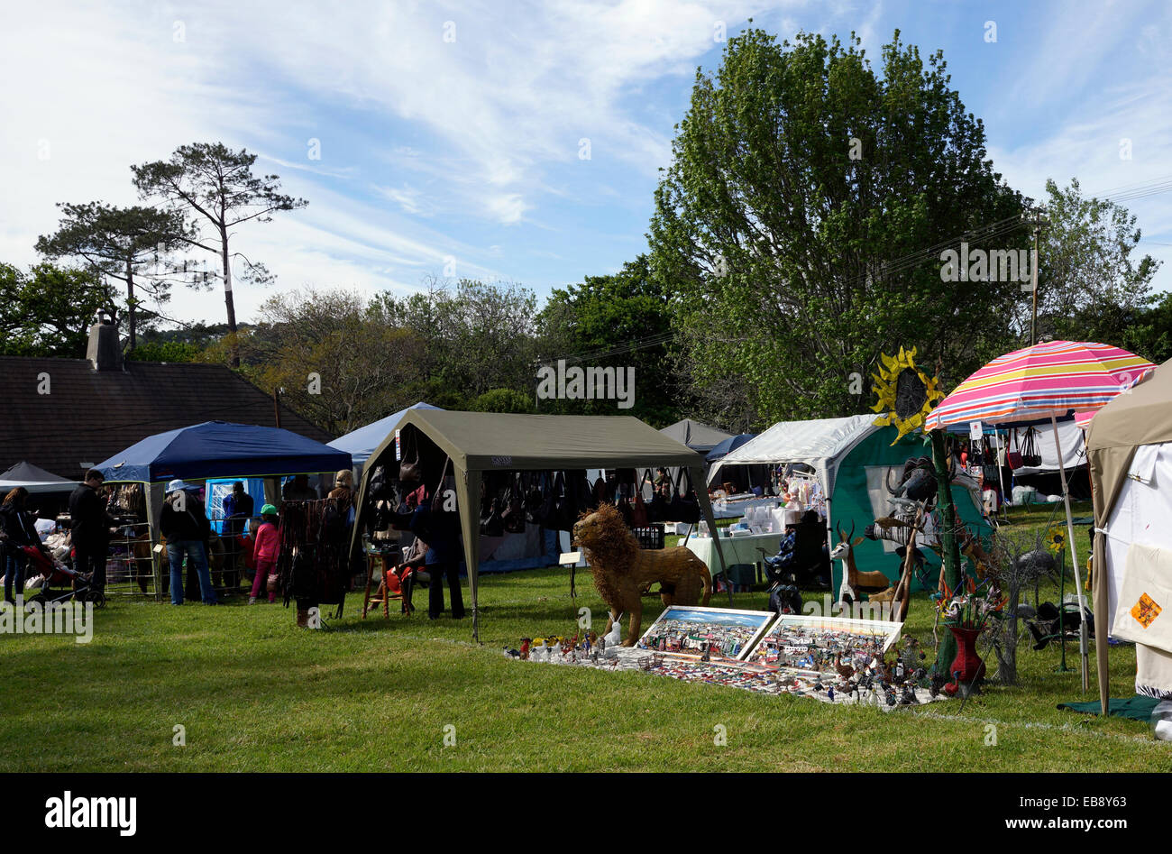 La variété des biens en vente au marché d'artisanat Kirstenbosch Le Cap, Afrique du Sud. Banque D'Images