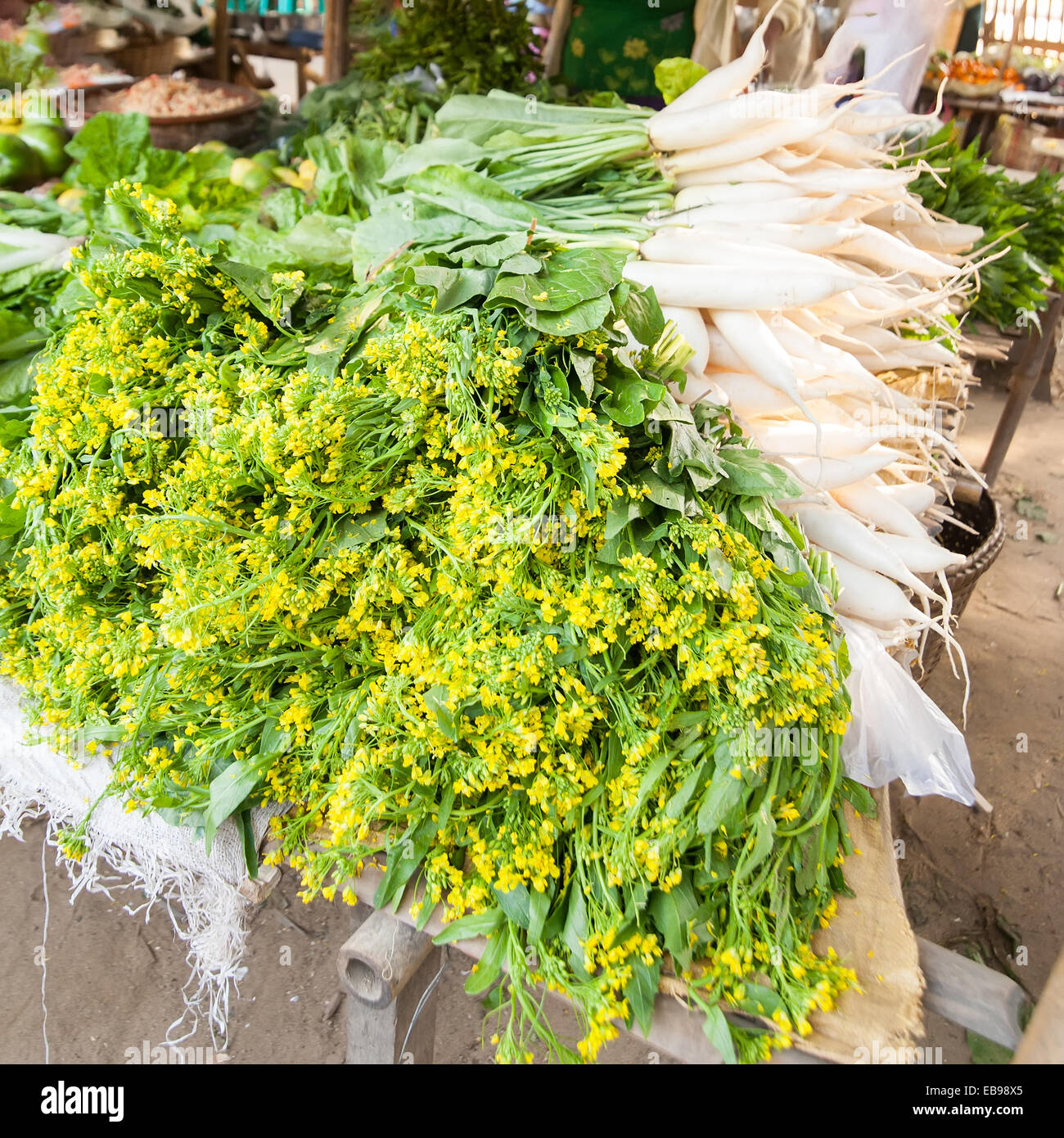 Les épices locales traditionnelles et radis daikon Légumes pour la vente au marché asiatique en plein air. Bagan, Myanmar. Birmanie billet destin Banque D'Images