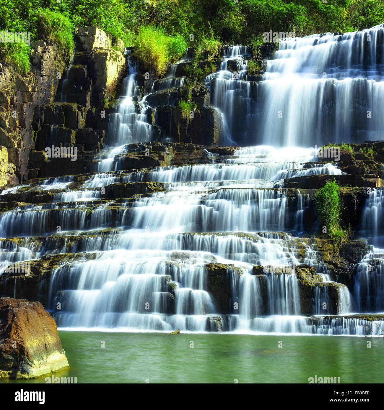 Paysage de forêt tropicale avec cascade Pongour. Da Lat, Viet Nam Banque D'Images Paysage de forêt tropicale avec cascade Pongour. Da Lat, Viet Nam Banque D'Images