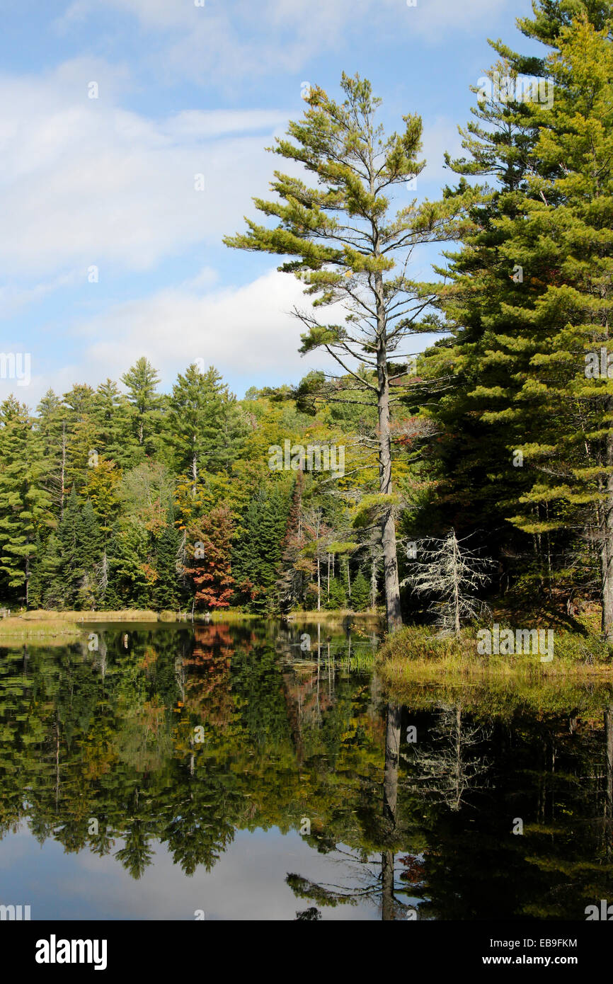 Rivière eau scène lac montagnes Adirondack dans l'automne l'automne de l'année. Banque D'Images