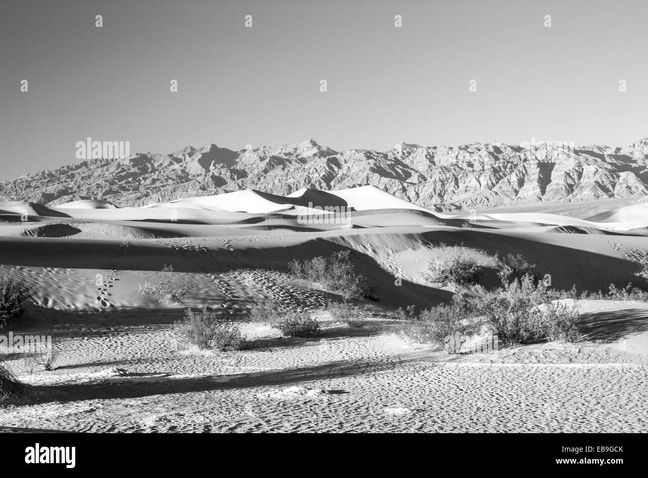 Le mesquite Sand Dunes sculptées par les vents de la vallée de la mort Banque D'Images
