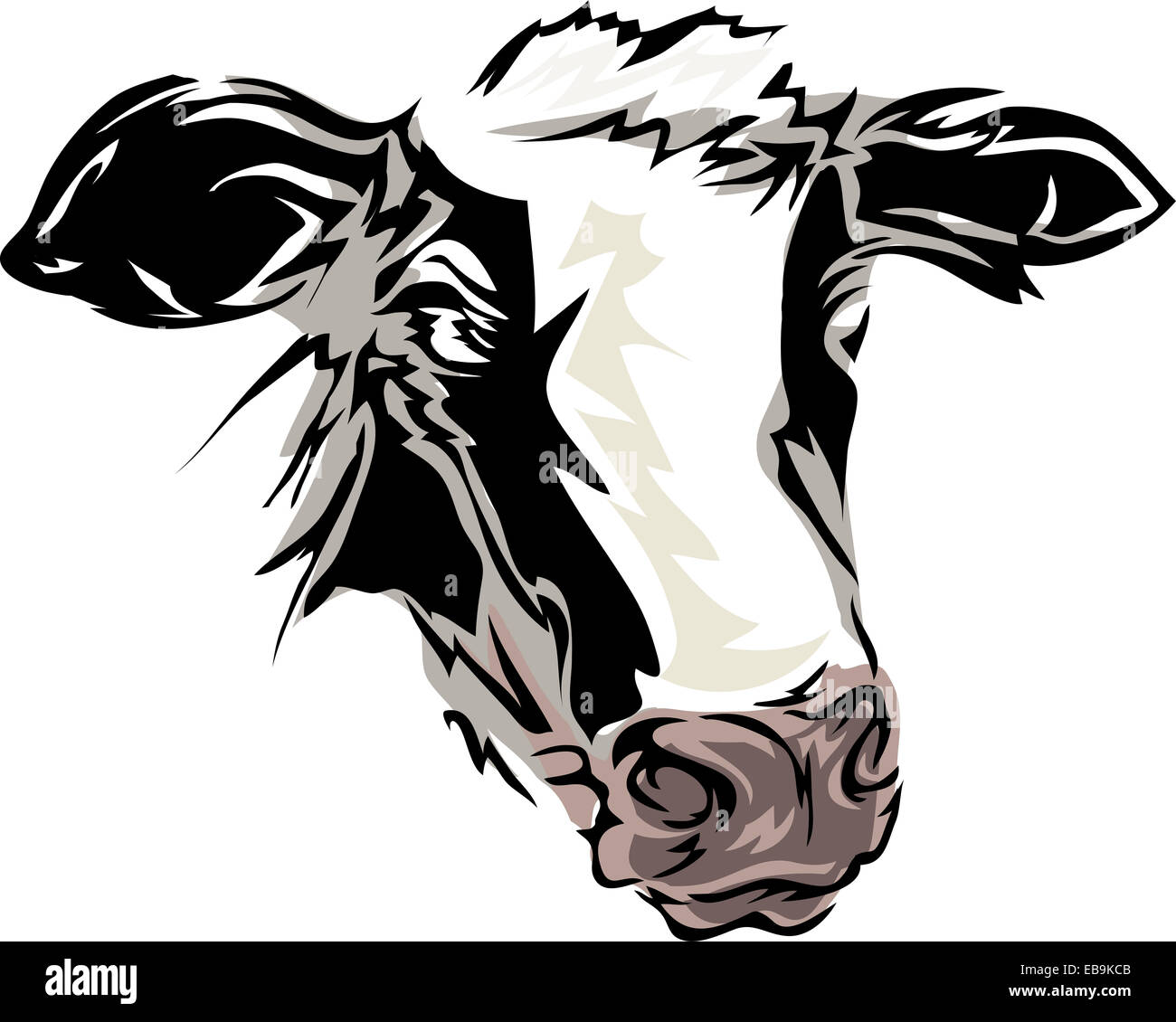 Doté d''une vache Illustration Banque D'Images