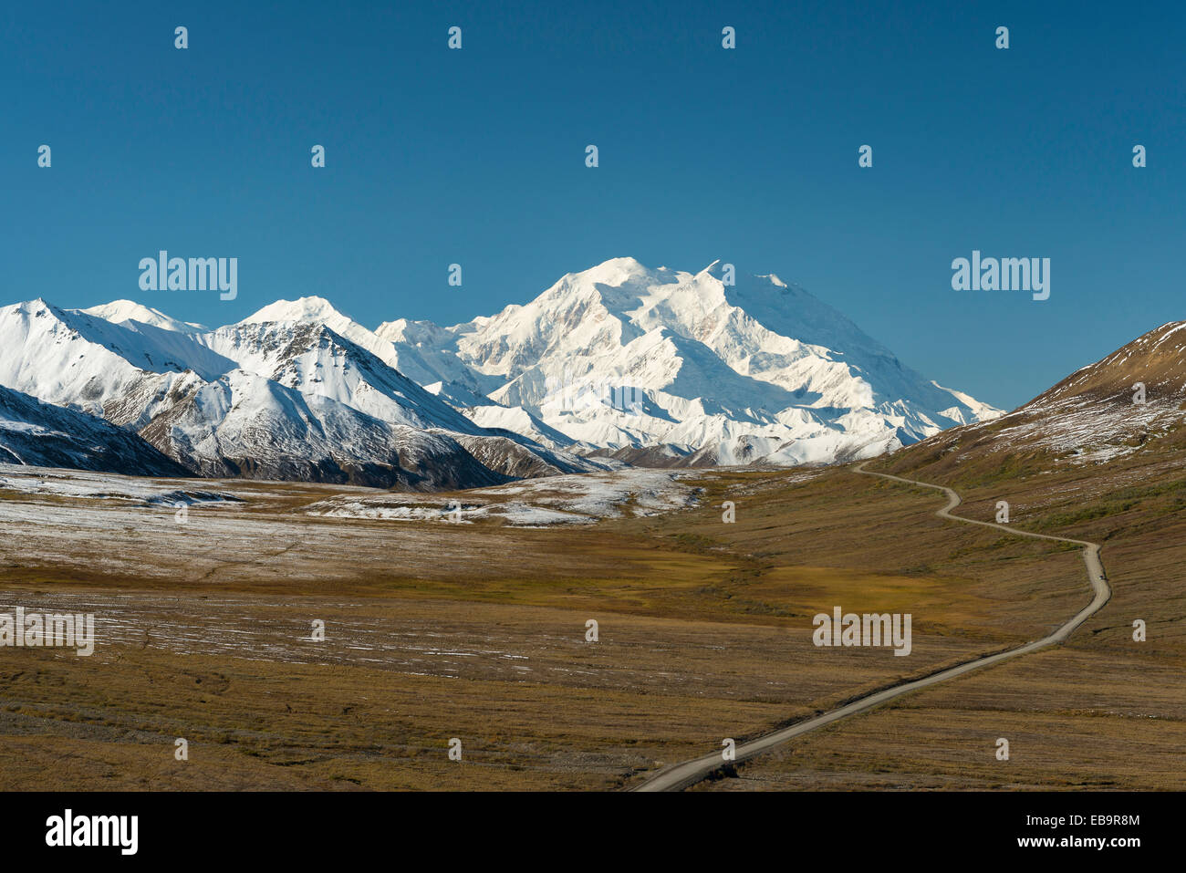 Denali Park Road avec le Mont McKinley, Denali National Park, Alaska, United States Banque D'Images