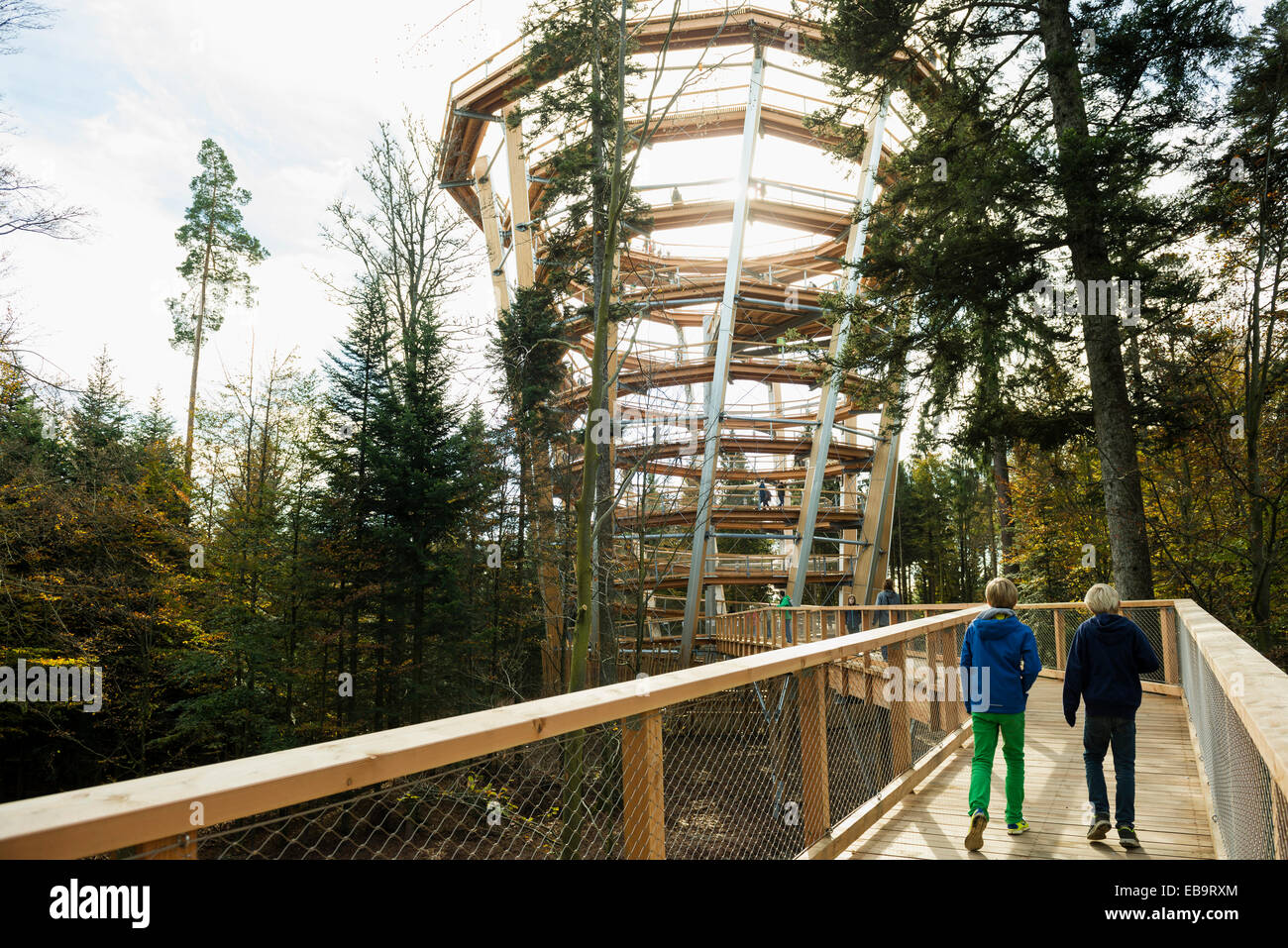 Accrobranche sur le mont Sommerberg, Bad Wildbad, Forêt-Noire, Bade-Wurtemberg, Allemagne Banque D'Images