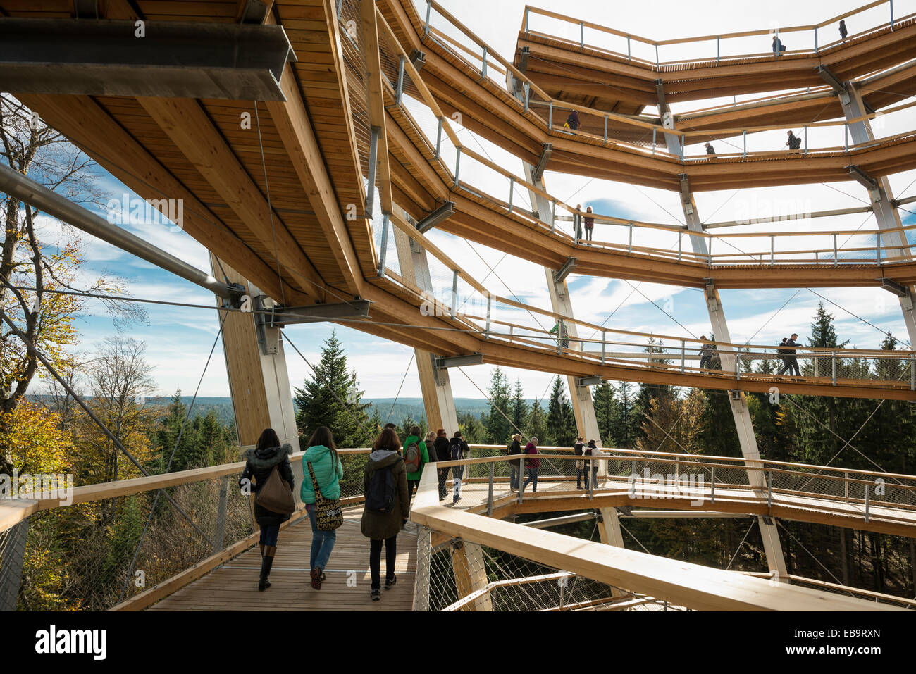 Accrobranche sur le mont Sommerberg, Bad Wildbad, Forêt-Noire, Bade-Wurtemberg, Allemagne Banque D'Images