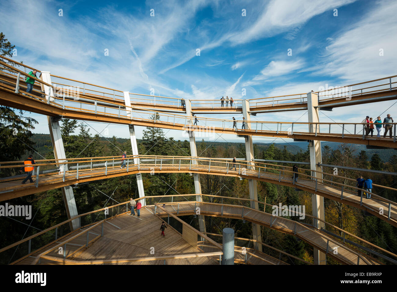Accrobranche sur le mont Sommerberg, Bad Wildbad, Forêt-Noire, Bade-Wurtemberg, Allemagne Banque D'Images