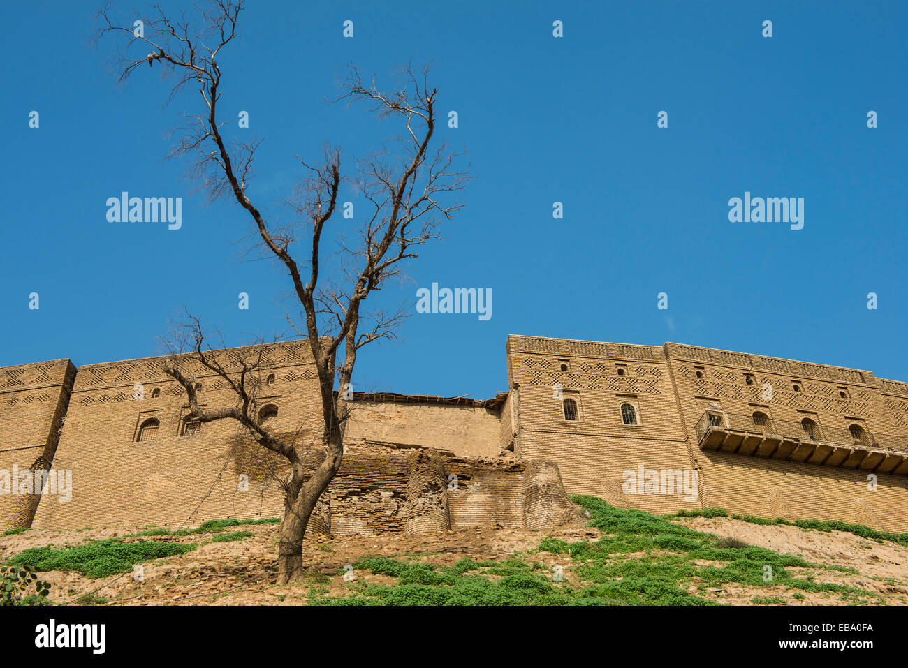 Citadelle d'Erbil, Qalat Hawler citadelle, Erbil, Province d'Erbil, Irak, Kurdistan irakien Banque D'Images