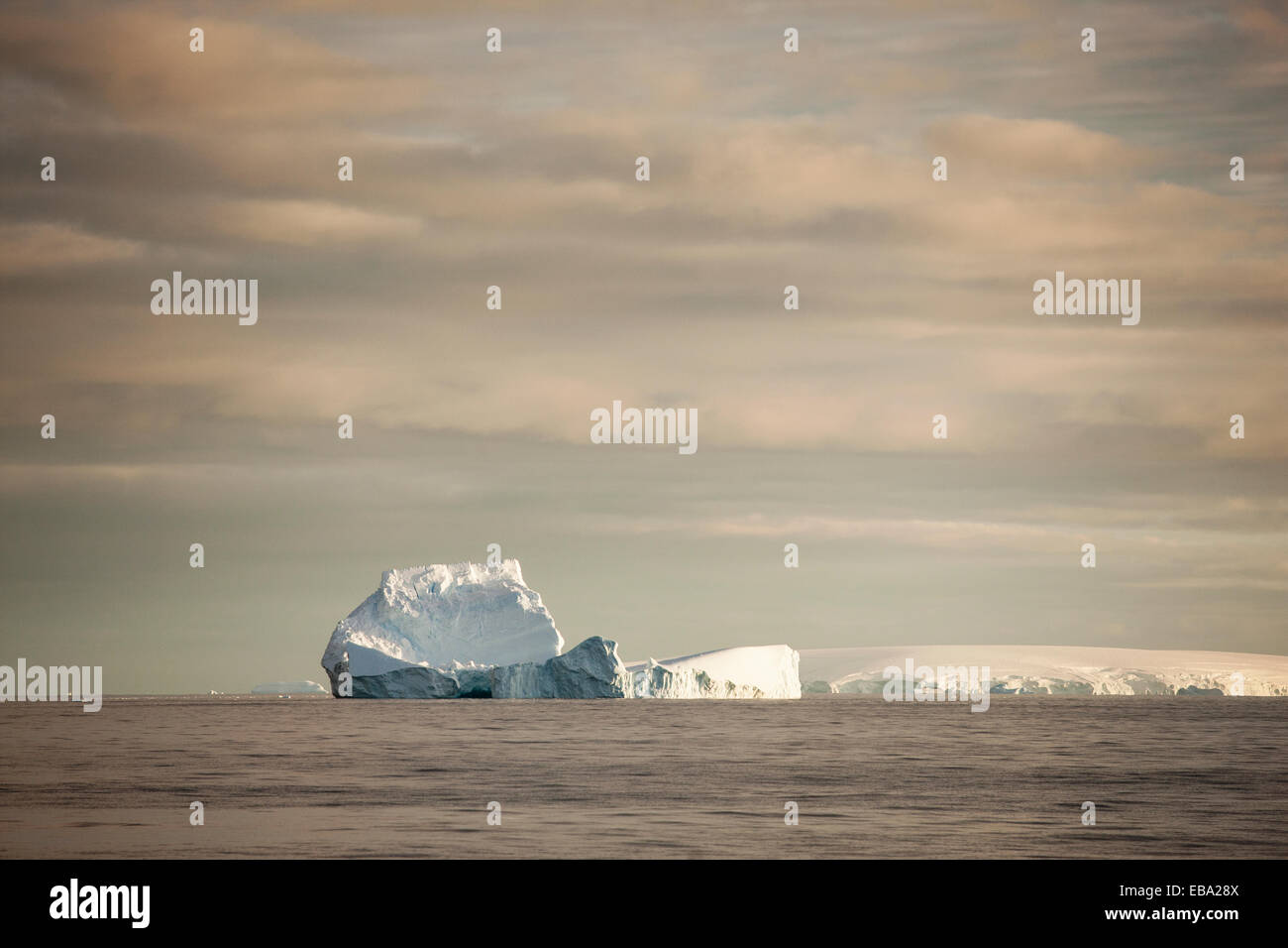 Icebergs dans la lumière du matin, Péninsule Antarctique, l'Antarctique Banque D'Images