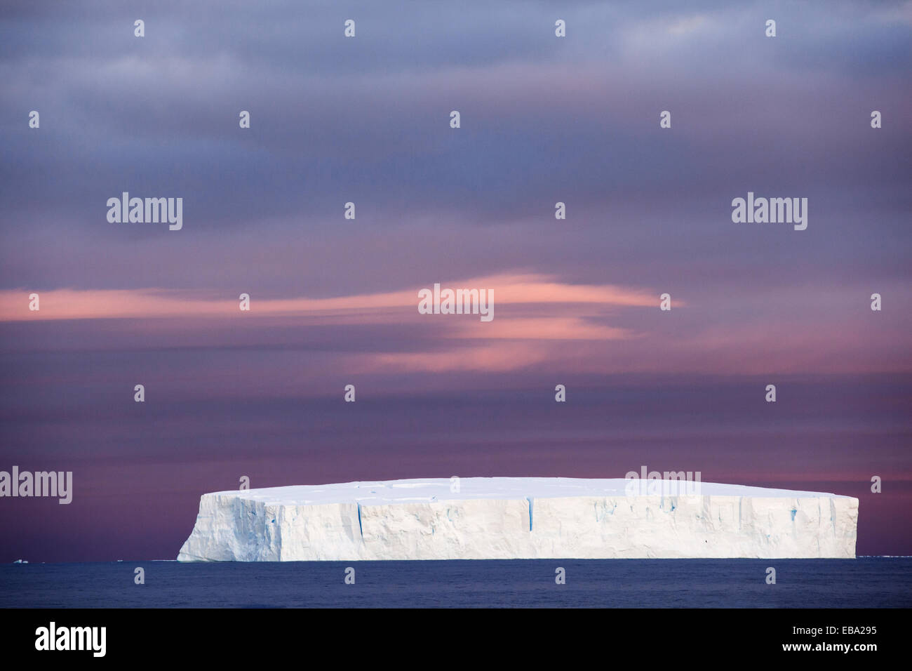 Iceberg, Péninsule Antarctique, l'Antarctique Banque D'Images