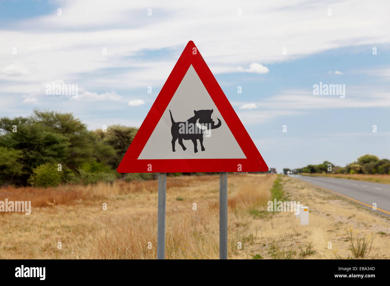 Panneau d'avertissement Attention phacochères, Namibie Banque D'Images