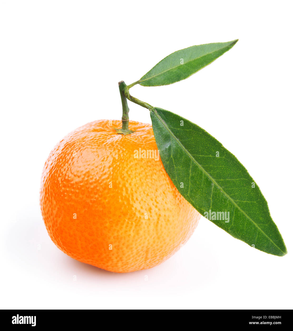 La mandarine avec des feuilles isolées sur fond blanc Banque D'Images