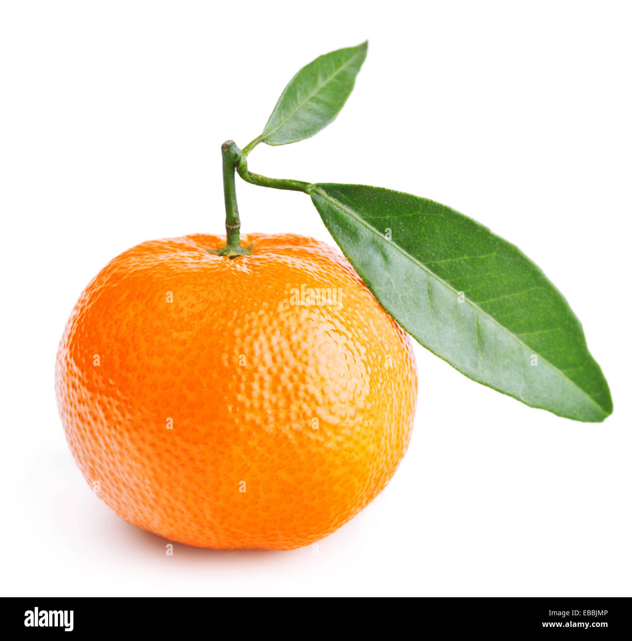 La mandarine avec des feuilles isolées sur fond blanc Banque D'Images