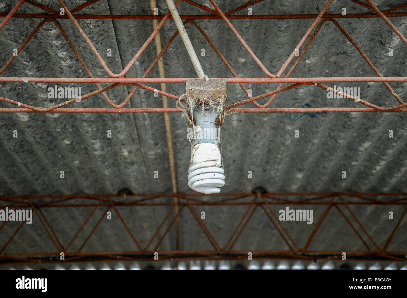 Lampe à faible consommation d'énergie dans la pièce où les vaches sont nourris sur une ferme laitière près de San Ramon, Canelones, Uruguay. Banque D'Images Lampe à faible consommation d'énergie dans la pièce où les vaches sont nourris sur une ferme laitière près de San Ramon, Canelones, Uruguay. Banque D'Images