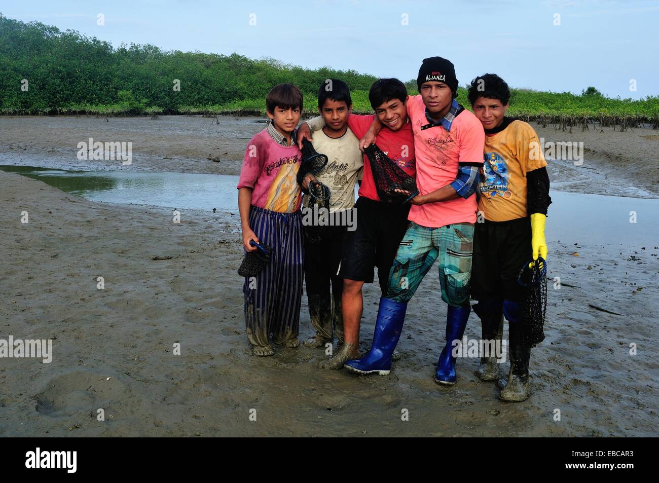 Les ramasseurs de coquillages noir - mangroves dans PUERTO PIZARRO . Ministère de Tumbes .PÉROU Banque D'Images