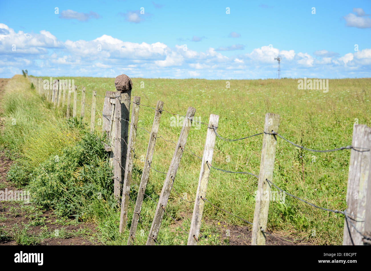 Pays Paysage avec une clôture et un poteau avec un Baker's Nest, près de San Ramon, Canelones, Uruguay Banque D'Images