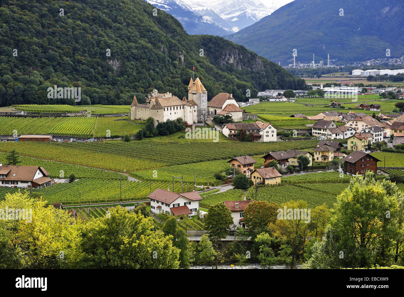 SUISSE SWITZERLAND canton de Vaud AIGLE et dents du midi Carte couleur 