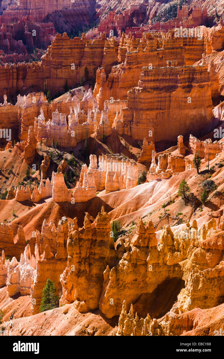 Les cheminées à Bryce Canyon National Park, Utah, USA. Banque D'Images