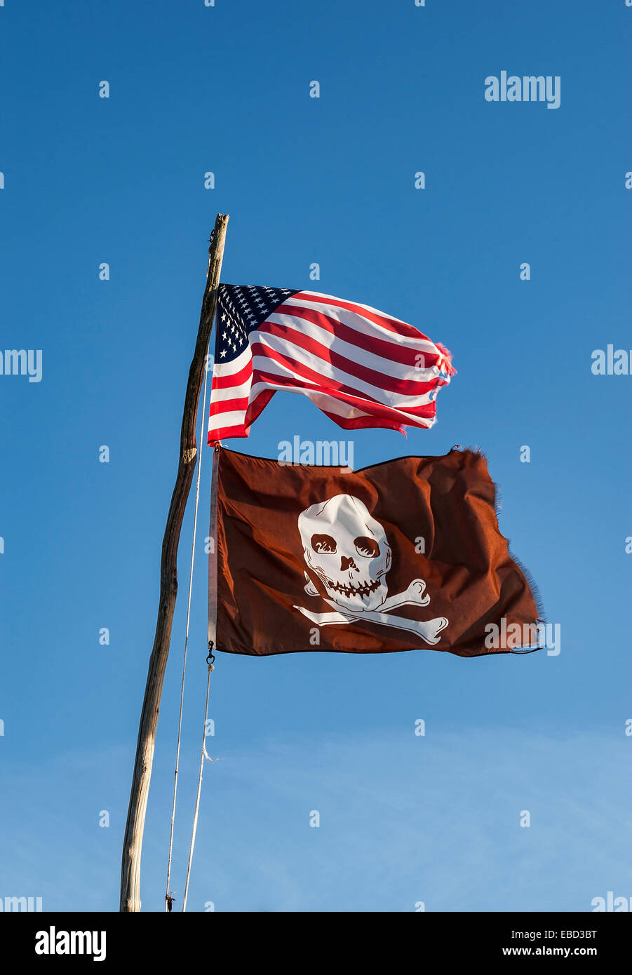 Le Stock Americain • Drapeau Pirate 1m x 1m50