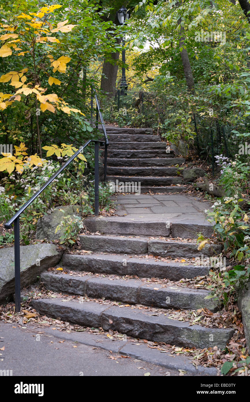 Une série de marches en pierre dans Central Park, New York City. Banque D'Images