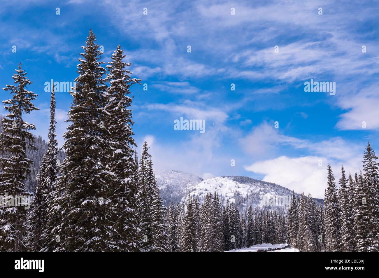 Station de Ski de Whitewater, Nelson, British Columbia, Canada Banque D'Images