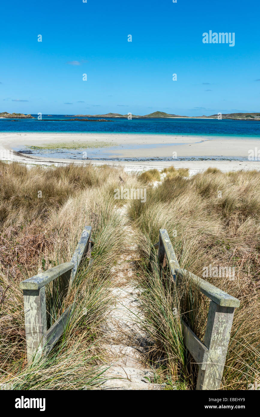 Marches de bois qui mènent à une plage près de Blockhouse Point. Tresco, Îles Scilly, Cornwall, England, UK Banque D'Images