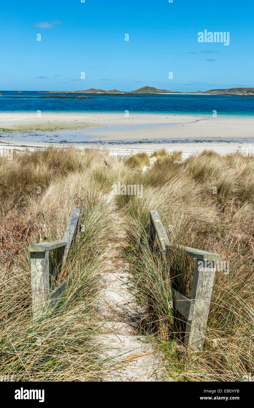 Marches de bois qui mènent à la plage de porth rushy près de blockhaus point. tresco, îles Scilly, Cornwall, England, UK Banque D'Images