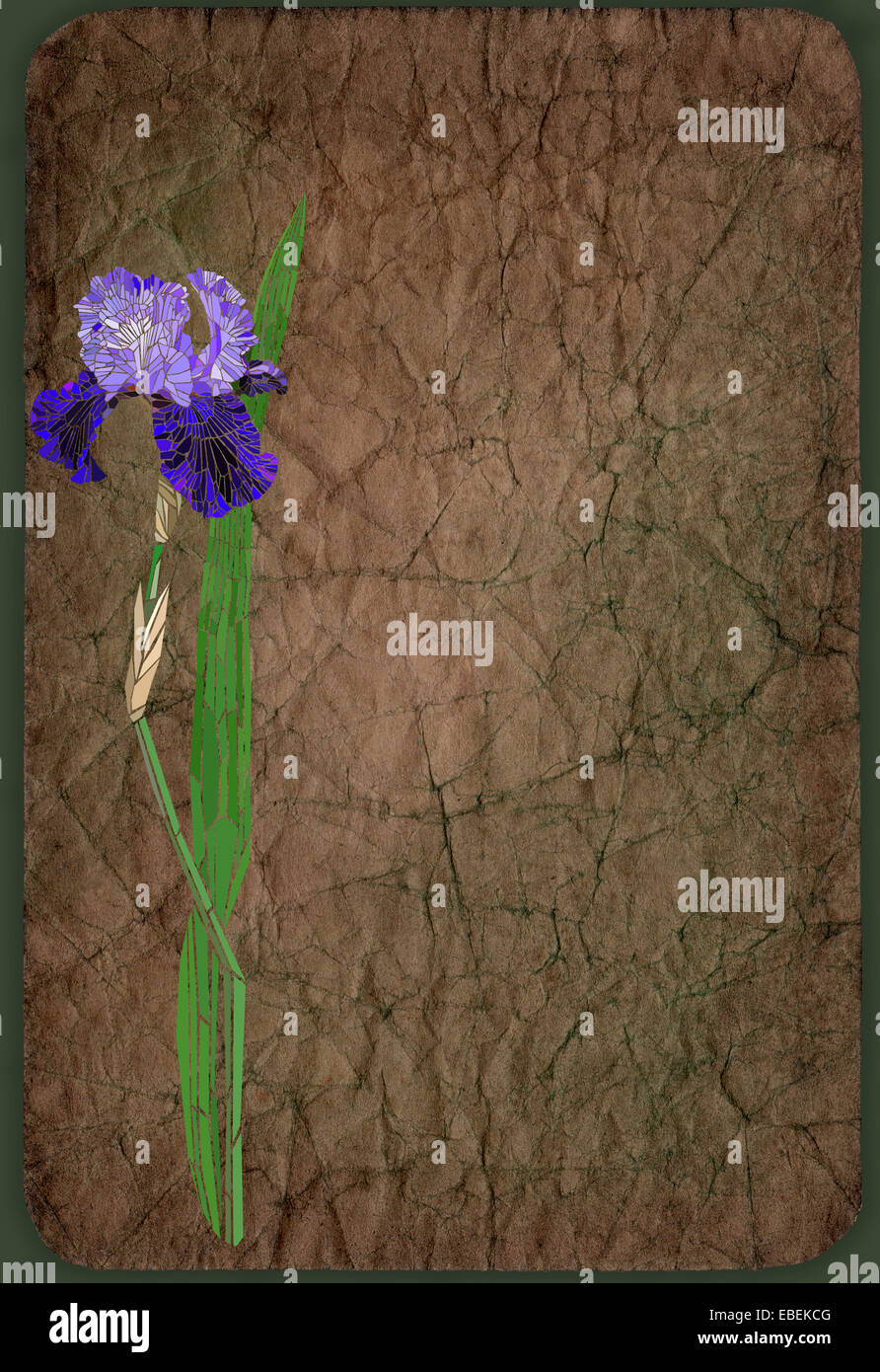 Avec une mosaïque d'arrière-plan iris fleurs Banque D'Images