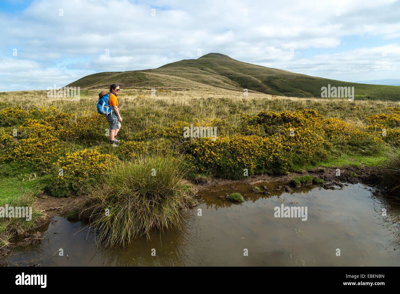 Walker sur le mont du Pain de Sucre, le Pays de Galles, Royaume-Uni Banque D'Images