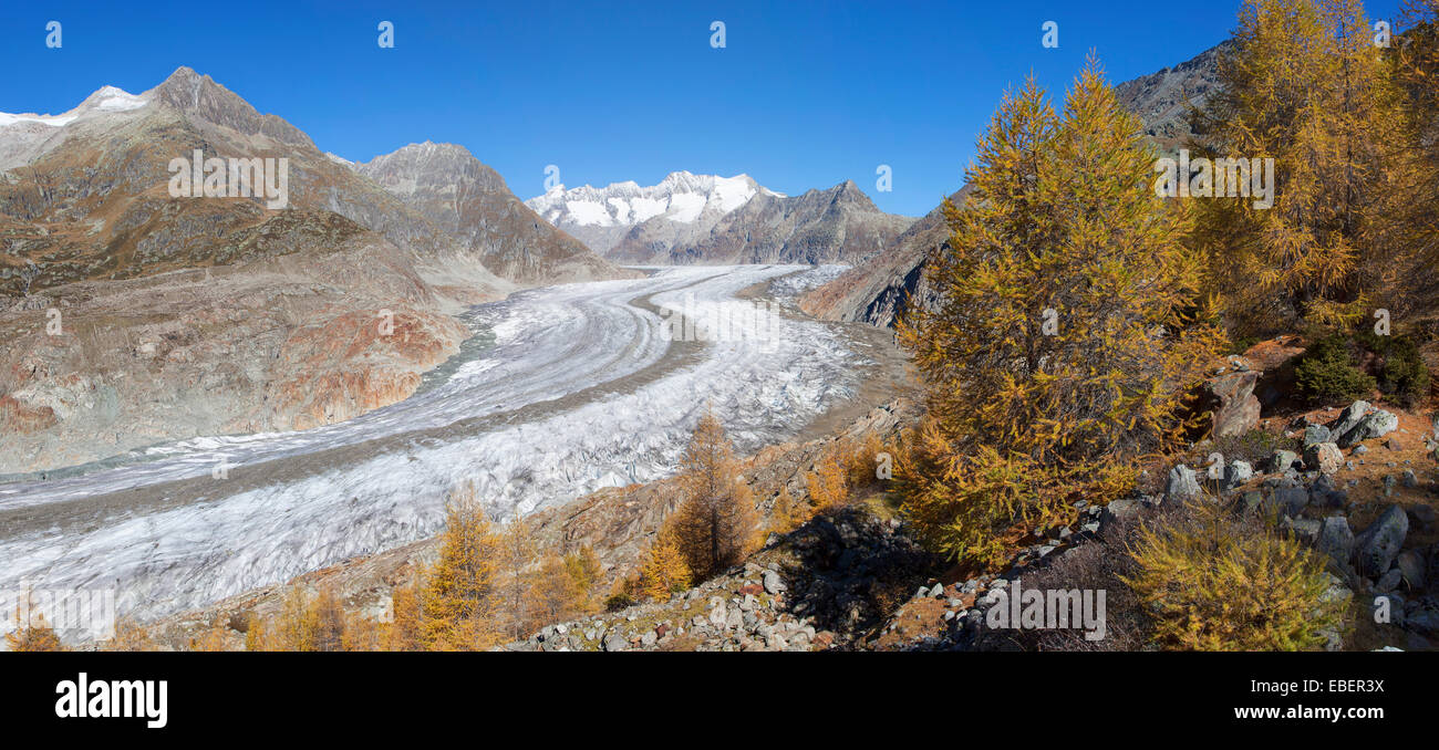 Glacier d'Aletsch, en Suisse Banque D'Images