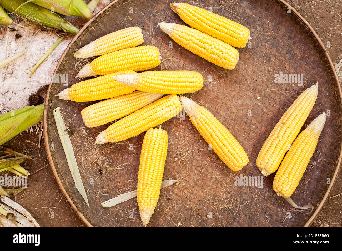 Épis de maïs bio à vendre à l'extérieur du marché asiatique. Arrière-plan de l'alimentation Banque D'Images