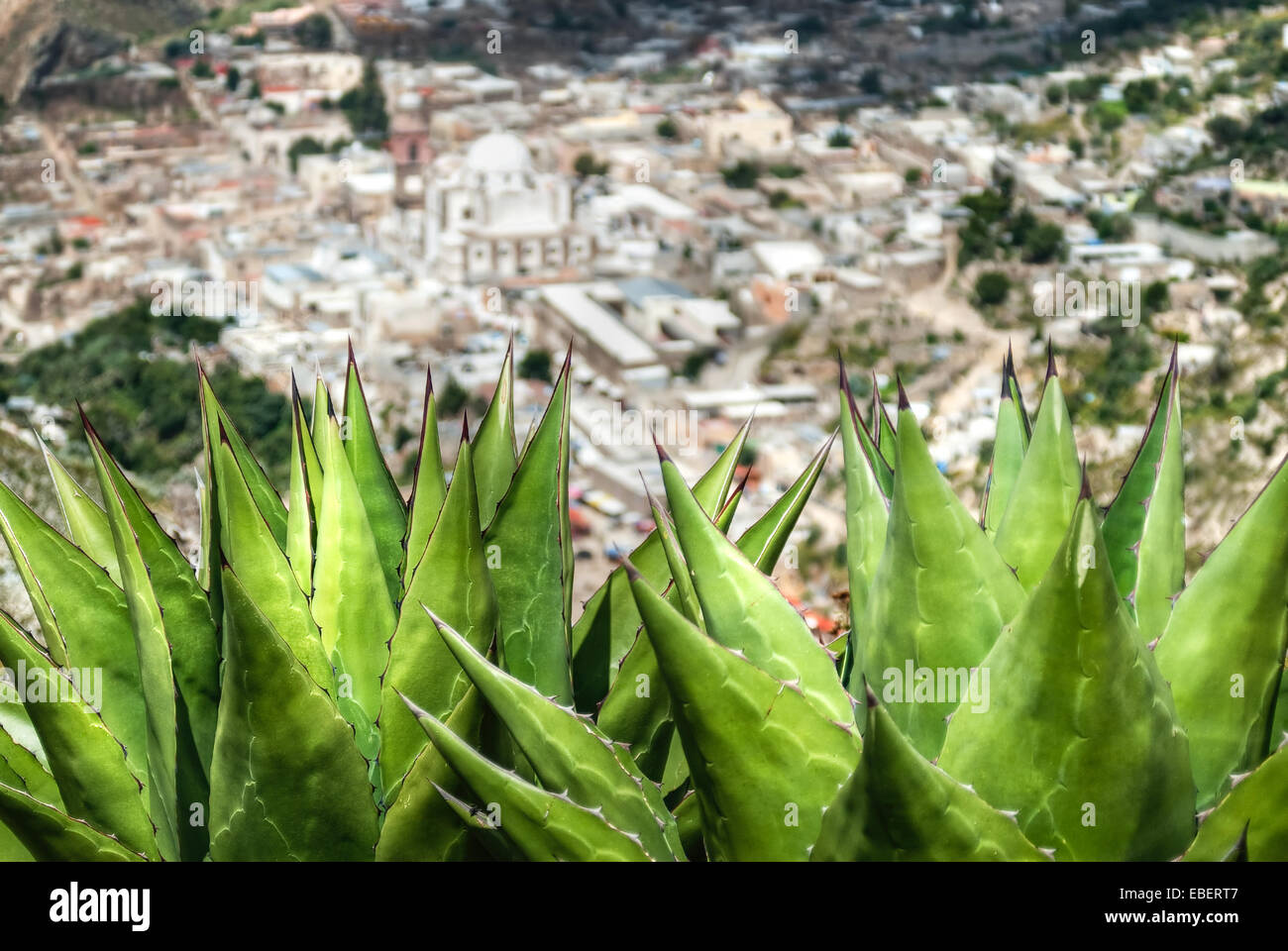 Real de Catorce, San Luis Potosí, Mexique Banque D'Images