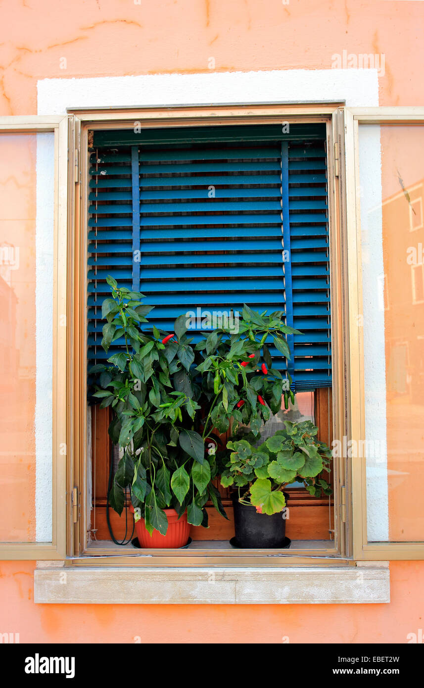 Burano Italie Venise réflexions maisons colorées le long des canaux de l'île Banque D'Images