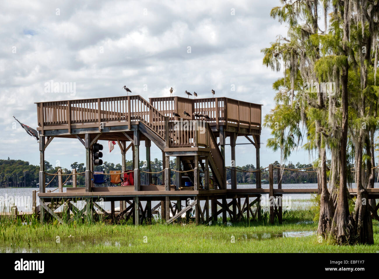 Clermont Florida, Lac Minnehaha, Cypress Cove, banc, cyprès, mousse espagnole, eau, pont surélevé, ibis, oiseaux, visite touristique Banque D'Images
