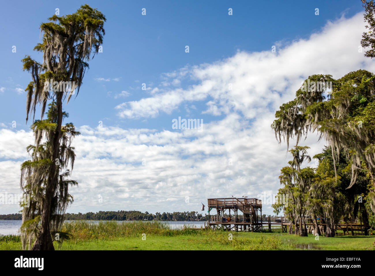Clermont Florida, parc public, lac Minnehaha, Cypress Cove, pont surélevé, cyprès, mousse espagnole, eau, visiteurs voyage tourisme touristique l Banque D'Images