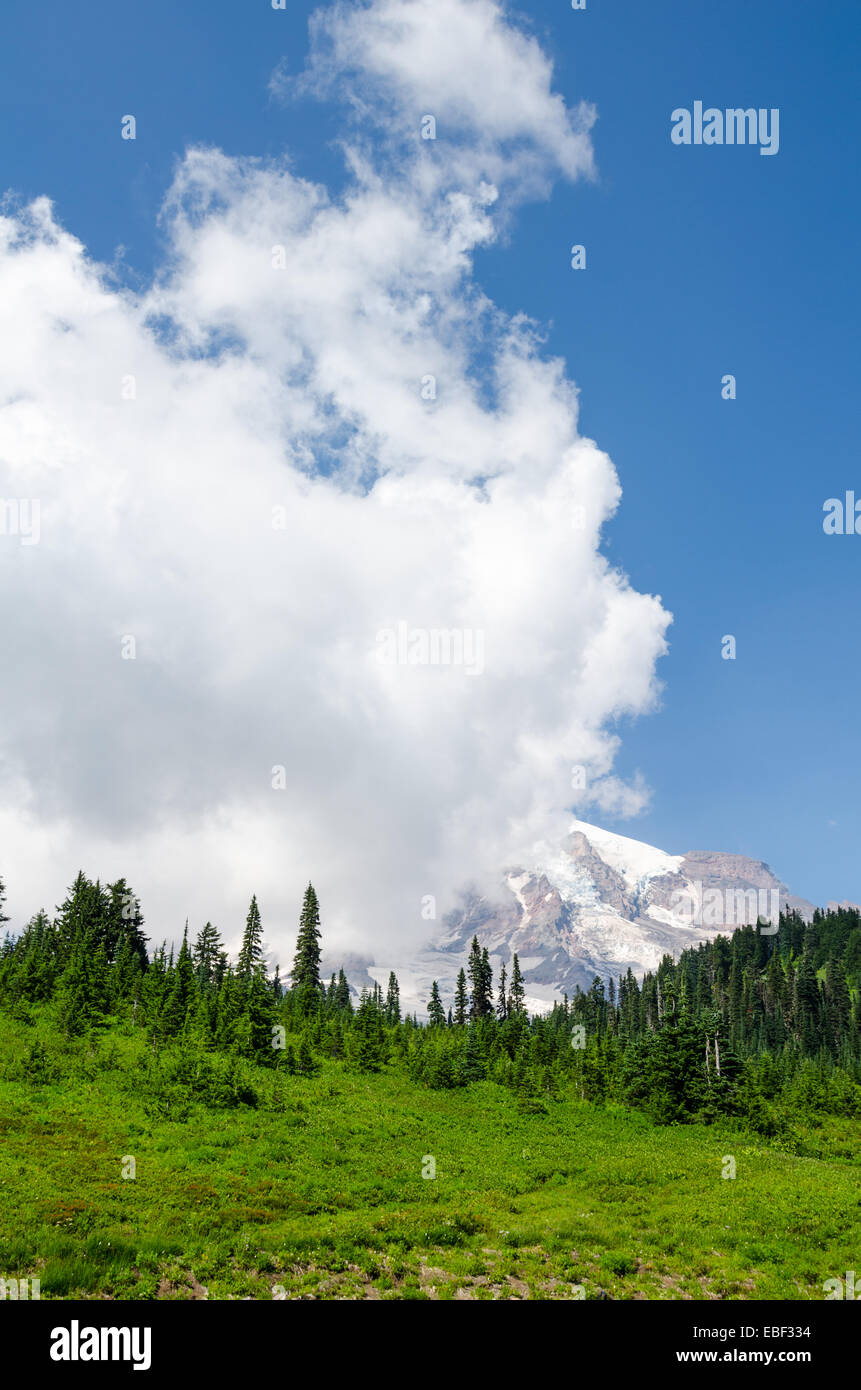 Le Mont Rainier, près de Seattle, Washington Banque D'Images