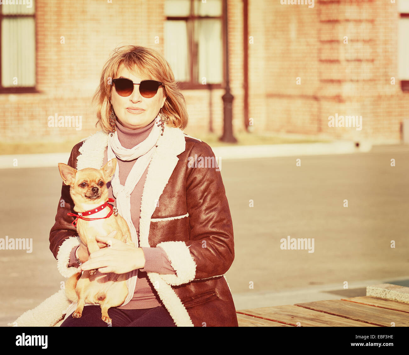 Jolie femme et son chien chihuahua sur fond Nature. Vintage Retro avec filtre Instagram Banque D'Images