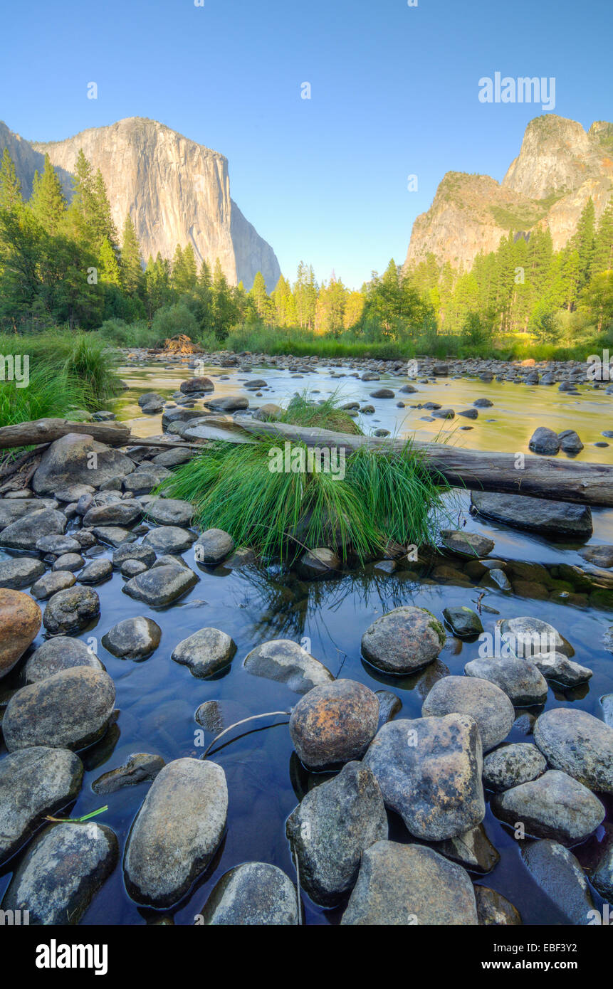 La célèbre vue sur la vallée de Yosemite National Park Banque D'Images