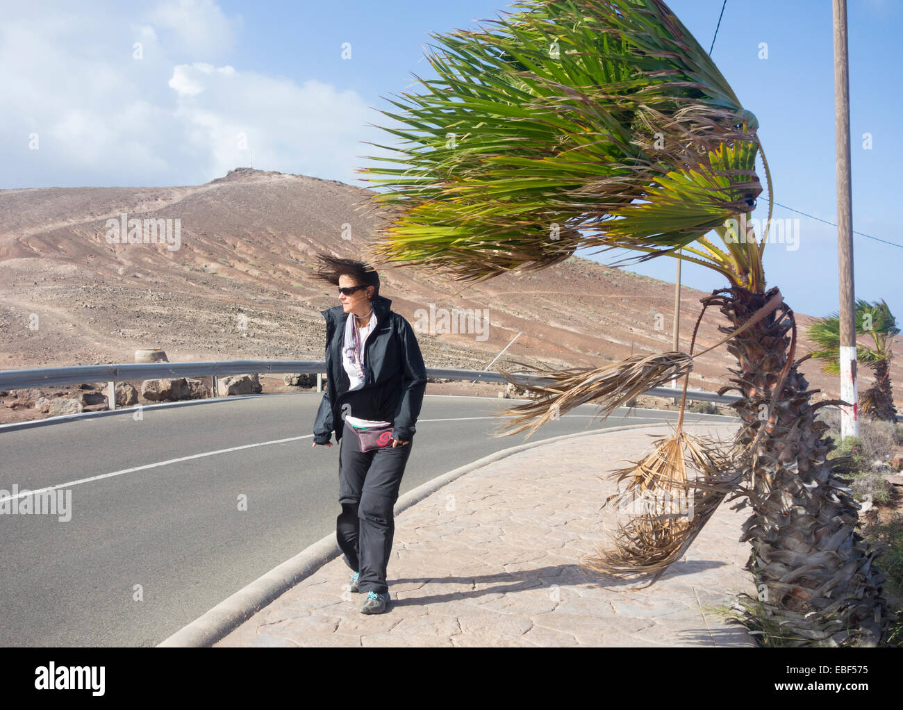 Las Palmas, Gran Canaria, Îles Canaries, Espagne. 29 novembre, 2014. Les arbres ont été déracinés, des lignes de transport d'électricité a été abaissée et endommagé des bâtiments que les vents de plus de 100km/h (rafales à 150 km/h par endroits) et une mer difficile ravagé les îles Canaries au cours de la fin de semaine. Credit : ALANDAWSONPHOTOGRAPHY/Alamy Live News Banque D'Images