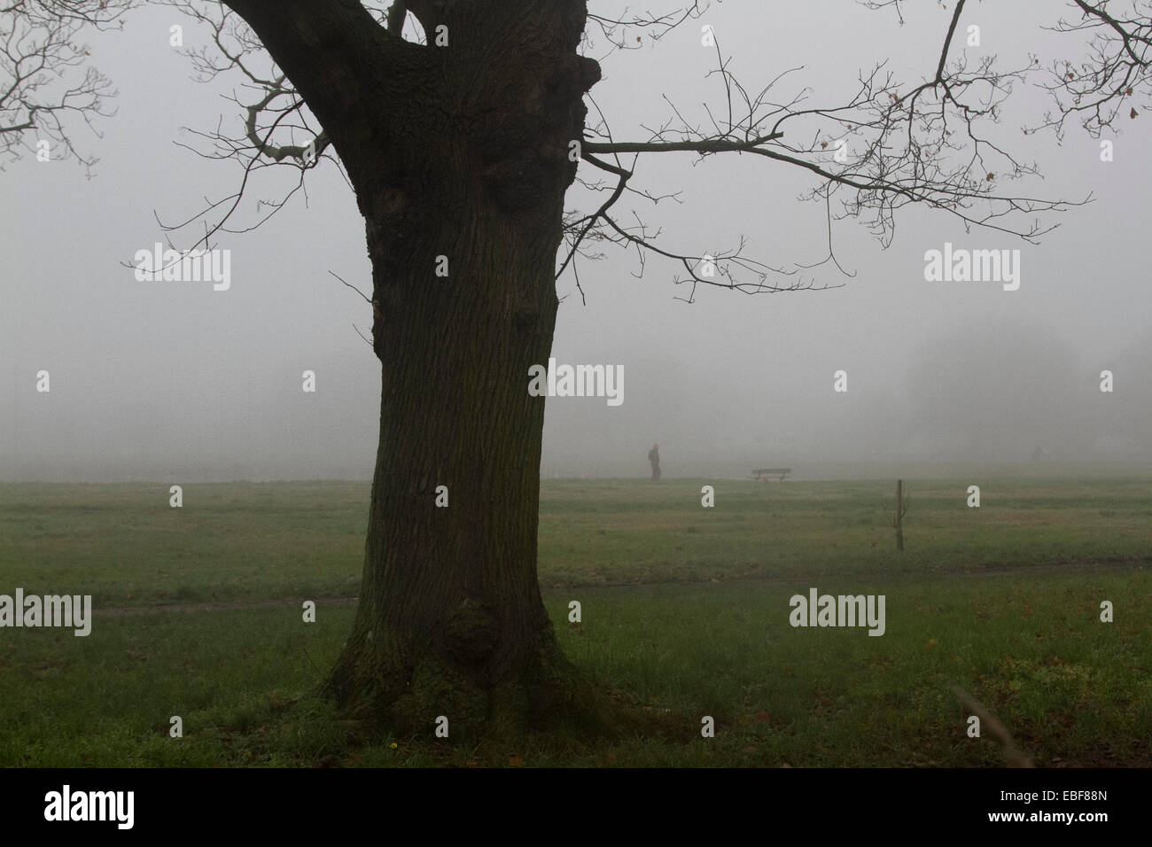 Wimbledon, Londres, Royaume-Uni. Le 30 novembre 2014. Les gens et les joggeurs et sur Wimbledon Common couverts en cas de brouillard épais Crédit : amer ghazzal/Alamy Live News Banque D'Images