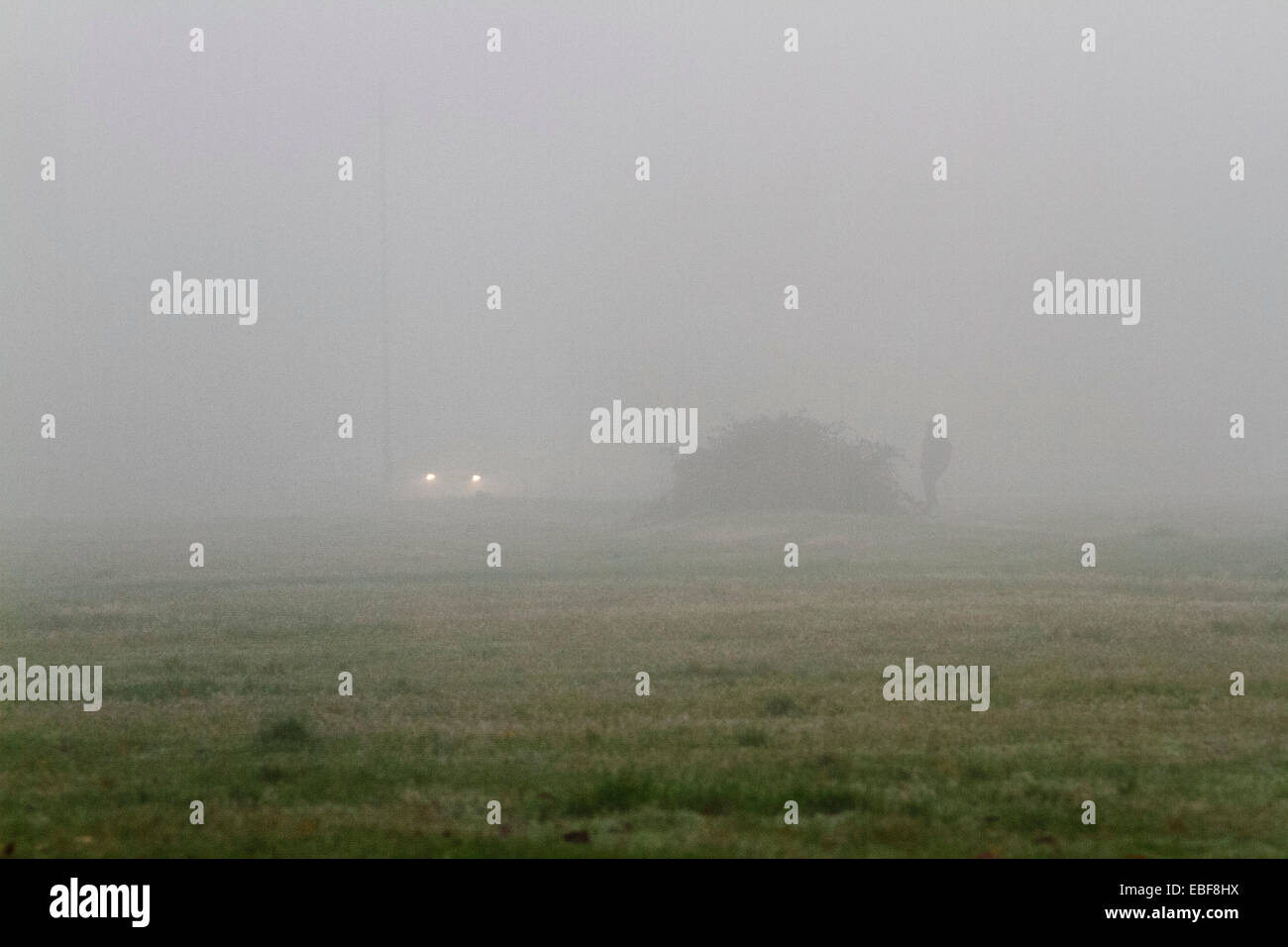 Wimbledon, Londres, Royaume-Uni. Le 30 novembre 2014. Voiture avec phares sur Wimbledon Common couverts en cas de brouillard épais Crédit : amer ghazzal/Alamy Live News Banque D'Images