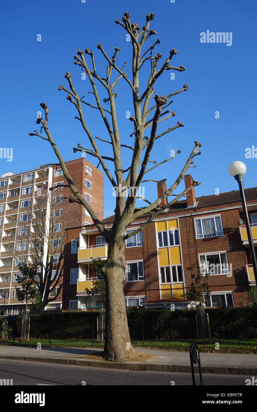 Certains des logements sociaux de la région de North Norland park Londres W11 avec sa variété de récentes intéressant l'architecture abordable Banque D'Images