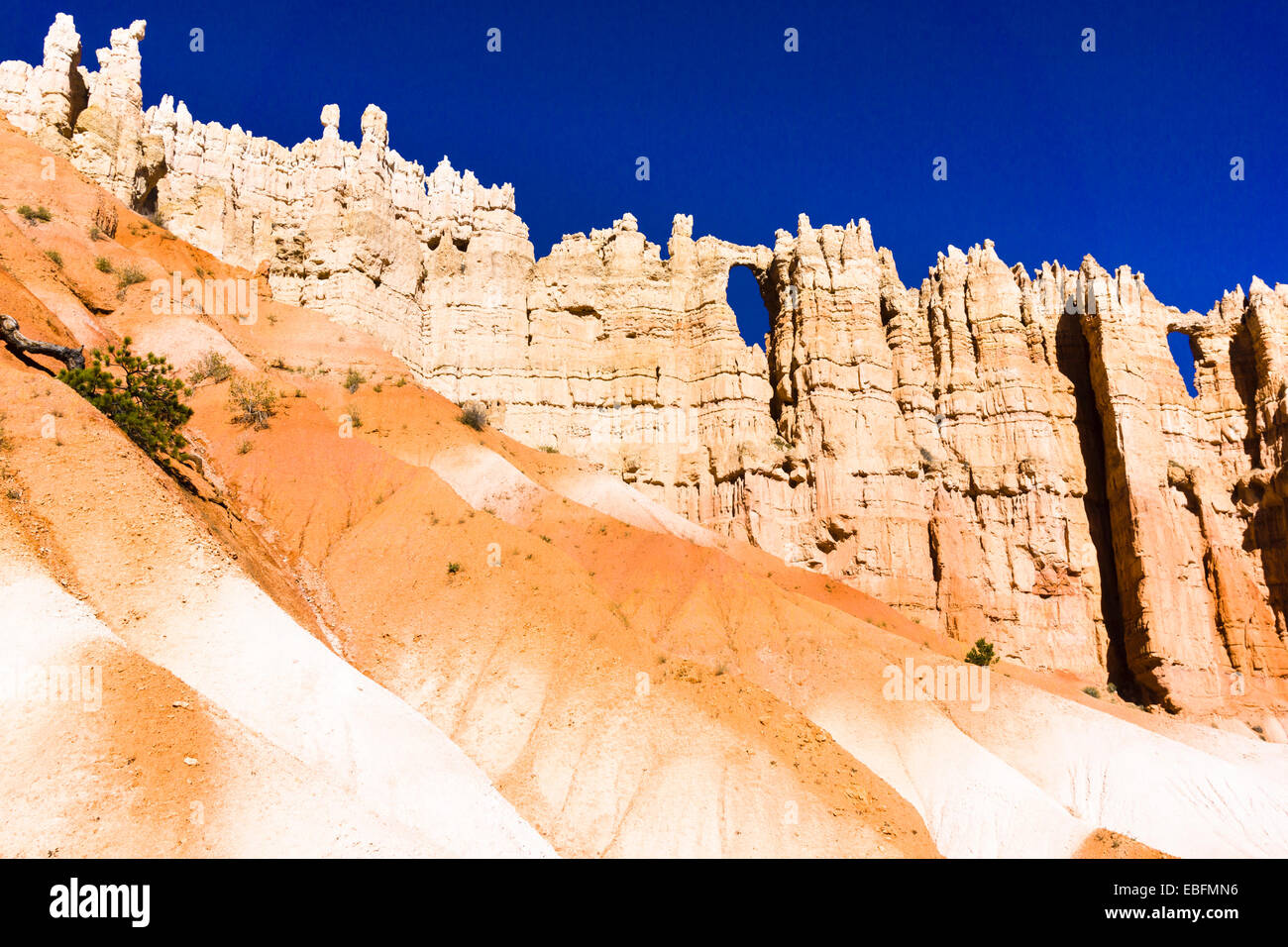 Mur de fenêtres. Bryce Canyon National Park, Utah, USA. Banque D'Images