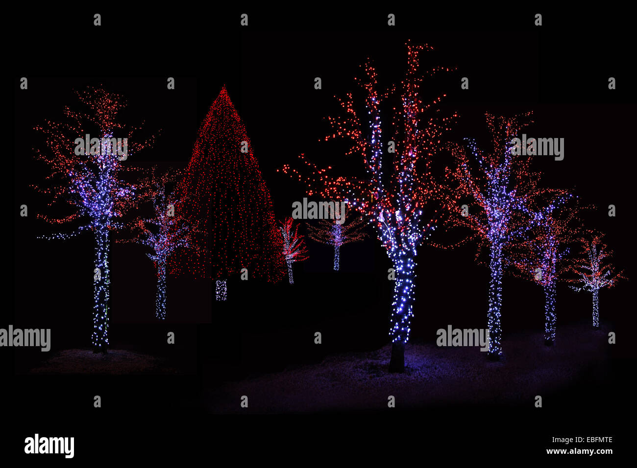 Photo de nuit en plein air de l'endroit parfait pour les arbres illuminés de Noël Banque D'Images