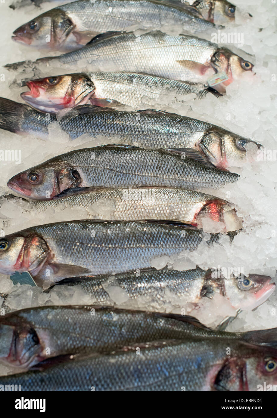 Poisson congelé au marché aux poissons Banque de photographies et d'images  à haute résolution - Alamy