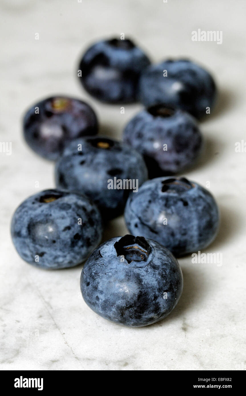 Vaccinium corymbosum - Les Bleuets 'Draper' en gros plan sur l'arrière-plan en marbre gris Banque D'Images