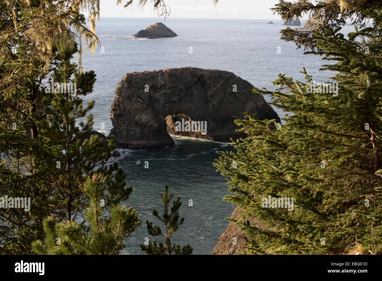 Arch Rock de pique-nique sur la route US 101 sur la côte de l'Oregon sur le mile 12 Samuel H. Boardman corridor panoramique de l'État Banque D'Images