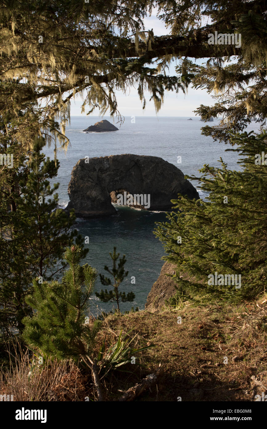Arch Rock de pique-nique sur la route US 101 sur la côte de l'Oregon sur le mile 12 Samuel H. Boardman corridor panoramique de l'État Banque D'Images